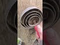 Satisfying Horse Shedding: Let the Hair Fly!
