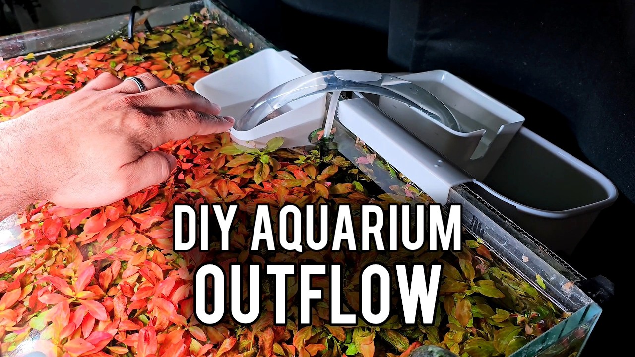 Build This Before Your Next Water Change
