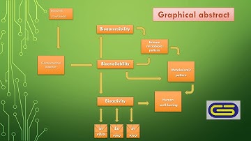 Graphical abstract  - video version