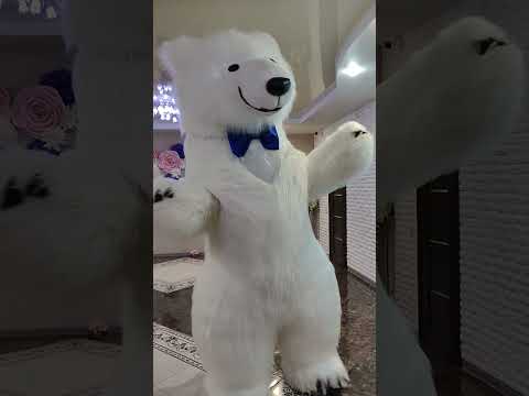 Медведь не сдержался и заговорил!🗣️😦🐻❄️ Поздравление от белого медведя