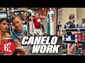 (WOW) Canelo Alvarez Twin Training SIDE BY SIDE next to Ryan Garcia, Oscar V