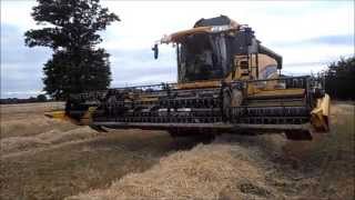 Moisson d'orge 2014 dans le Morbihan avec moissonneuse New Holland CX 8060 , entreprise Guillaume