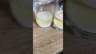 Negative or positive salt pregnancy test??
