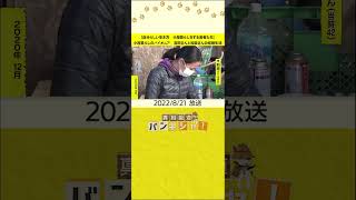 【自分らしい生き方　小屋暮らしをする若者たち】小屋暮らしのパイオニア　吉田さんと和美さんの結婚生活