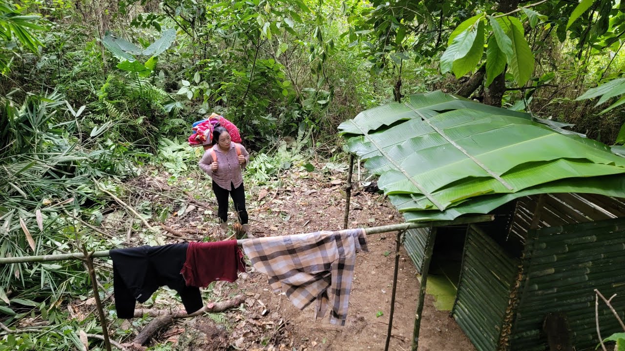 She built a small hut out of bamboo in the forest to sleep in overnight.