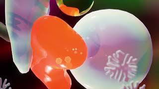 Making-With Trailer - Sheffield DocFest 2022
