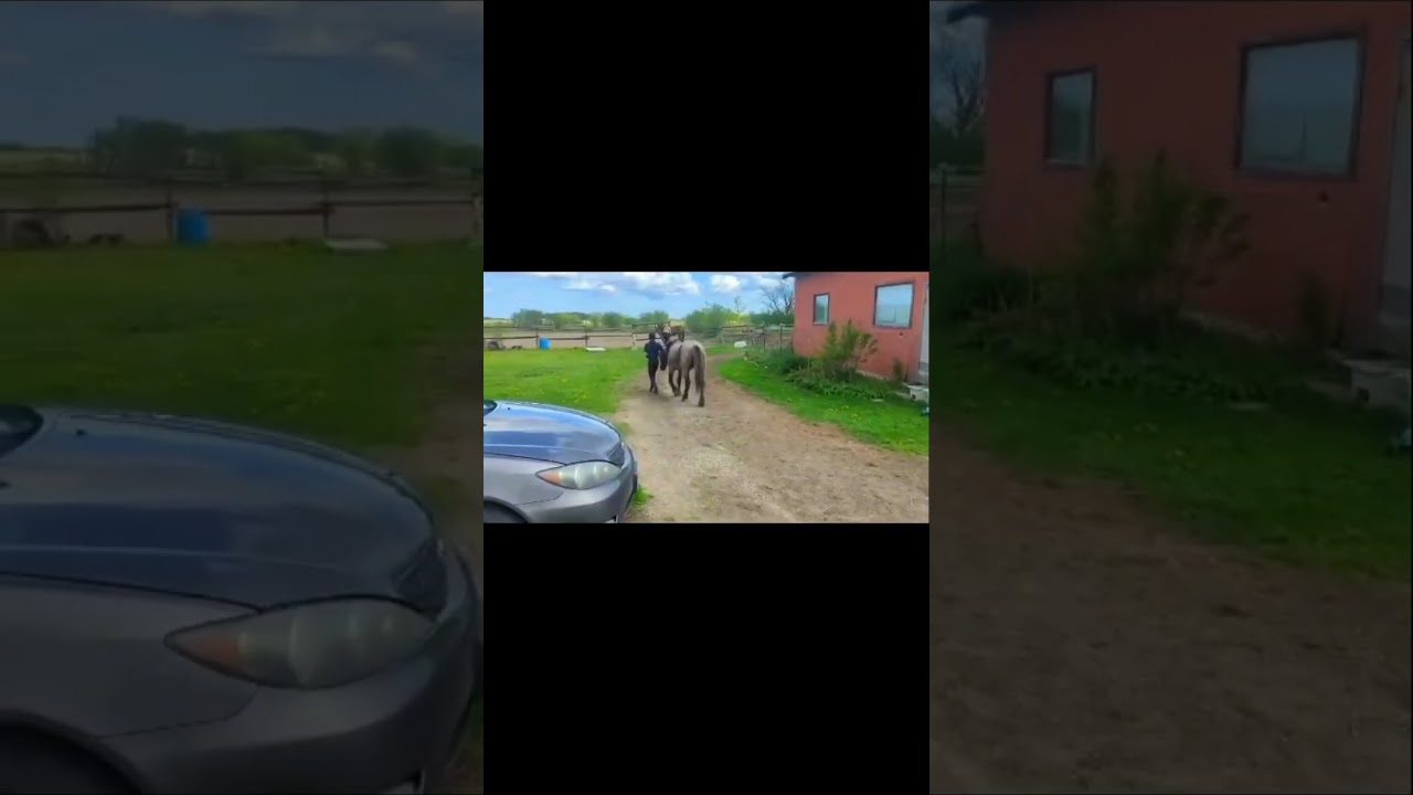 Misty getting the grass 😭 