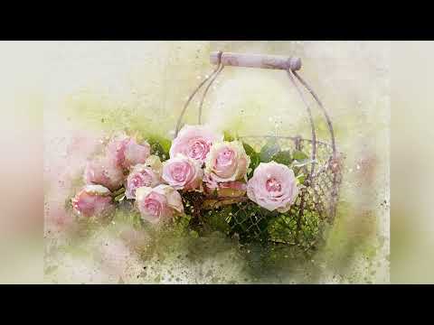 Liebe Mama -