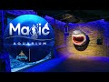 Magic city aquarium  Magic Аквариум  Magic City akvarium