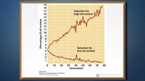 Quantitative Genetics:  Introduction
