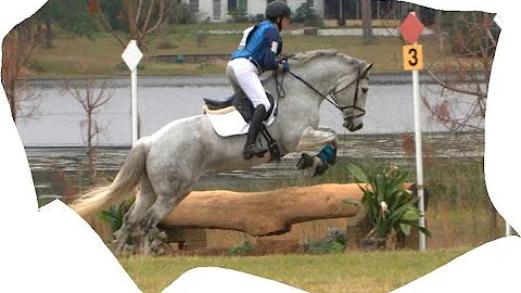 Nancy Purvis  "Gryffindor's Lion"  Three Lakes Win...