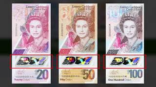 EC Polymer Notes: Design and Features