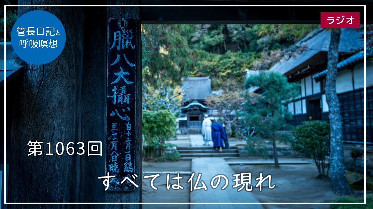 № 1063 «Всё есть проявление Будды» 5 декабря 2023 г. [Ежедневный дневник настоятеля и дыхательная...