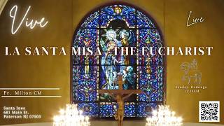 Domingo de Ramos 03/29/2026