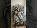 spider vs feather bed #aivideo #aibed #youtubeshorts