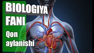 Biologiya Fani 8 Sinf Qon Aylanishi Biologiya Fani 8 Sinf Qon Aylanishi