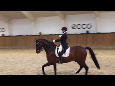 Karoline Rohmann - YouTube