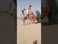 Shocking Camel Wedding Moment Unexpected Desert Wedding Scene Viral Short 2026 