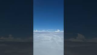 @javedali @ChennaiGirlInLondon @NicholasMazzio @javedali.fanteam #song #newsong