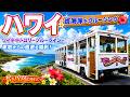 【2026年最新】#ハワイ旅行 6月ワイキキトロリー・ブルーラインで巡る絶景の東海岸!車窓から広がるハワイの楽園#ハワイ #ハワイ旅行 #ワイキキトロリー #オアフ島 #絶景スポット #ブルーライン