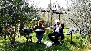 Johnny Cash&#39;s Hurt - Handpan and Violin Duet