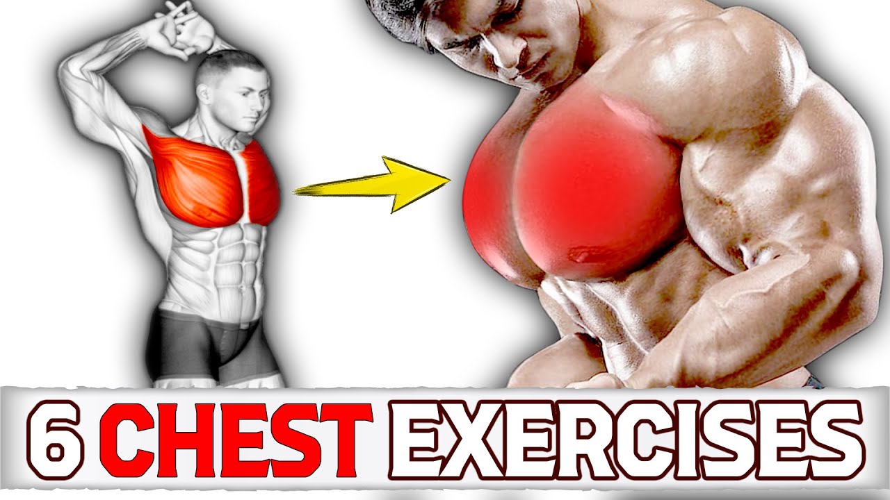 Exercises Testing Chest 6 Quality Chest Exercises for You - YouTube