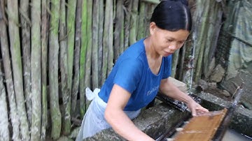 Làm giấy bản ở Quốc Dân, Quảng Uyên, Cao Bằng #Foklore