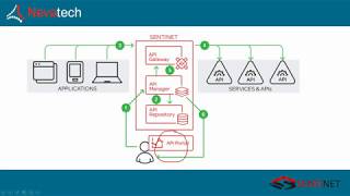 Sentinet API Management Overview