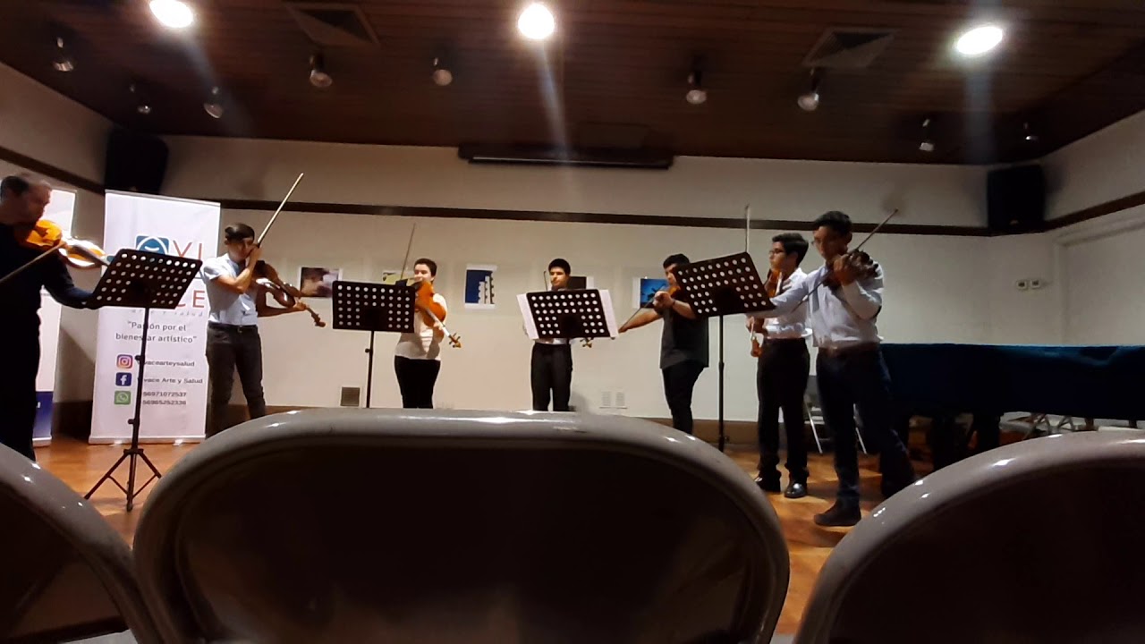Concierto Nº. 1 para 4 Violas , G. PH. Telemann.
