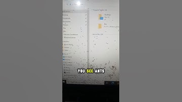Ants Inside the Laptop Screen!