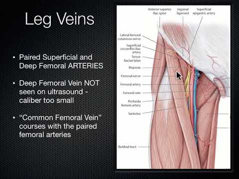 Wideo: Ultrasonografia DVT: Procedura, Dokładność, Następne Kroki I Więcej