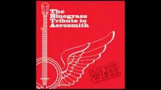 Video thumbnail of "Dream On - The Bluegrass Tribute to Aerosmith: Pick Your Wings"