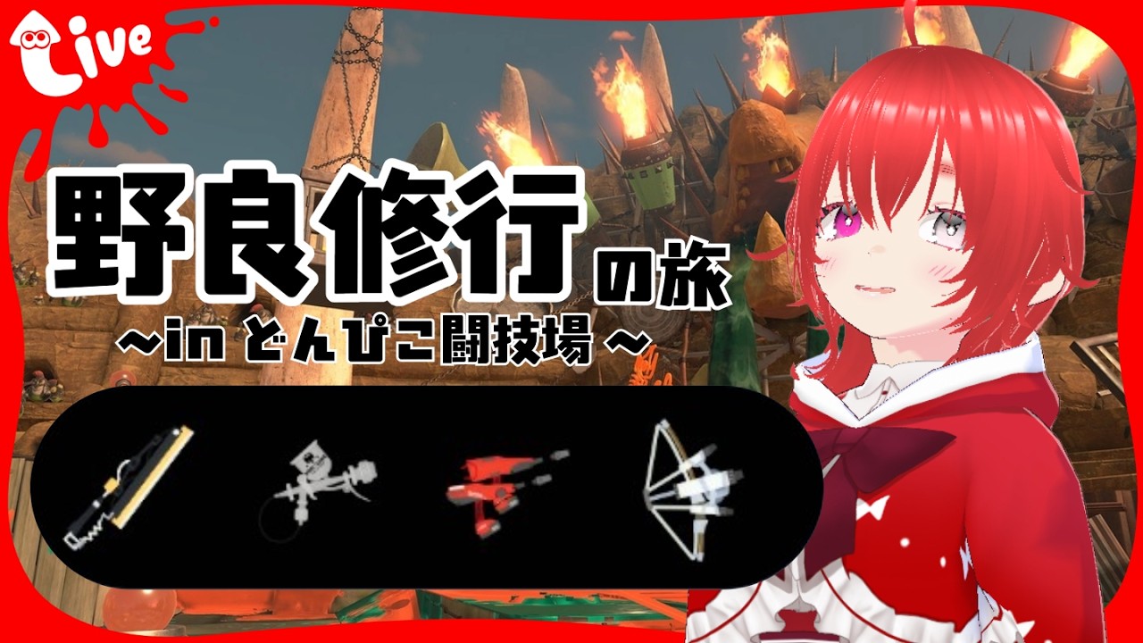 今日はどんぴこで武者修行ッ！【アドバイス求む】【サモラン】【スプラトゥーン3】