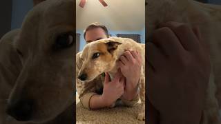 If you didn’t know, now you do 😂❤️