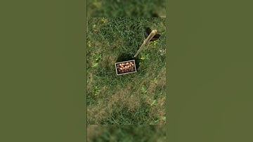 Apple & Arrow: 😱🔥The Infinite Loop #shorts #viral #loop