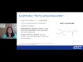 Optimizing Brain Energy: Solutions for Mental Fatigue &amp; Focus