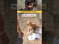 try not to laugh day 8😂#funny #viral #short #shorts