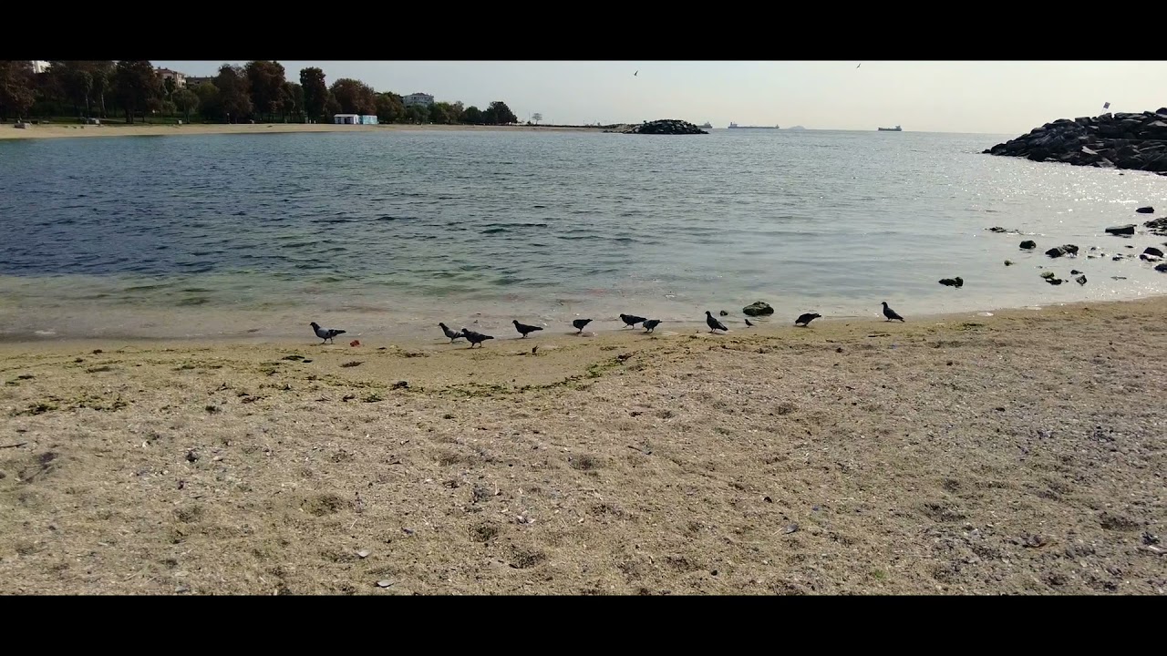 Sightseeing Istanbul Florya Beach | Bisiklet Yolu | Bike Trail