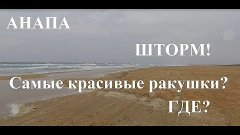 Анапа. Где и когда искать самые красивые ракушки? Прогулка по песчаным пляжам. Шторм!