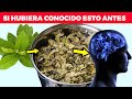 9 beneficios de la hoja de guayaba que no conocías y cómo prepararla