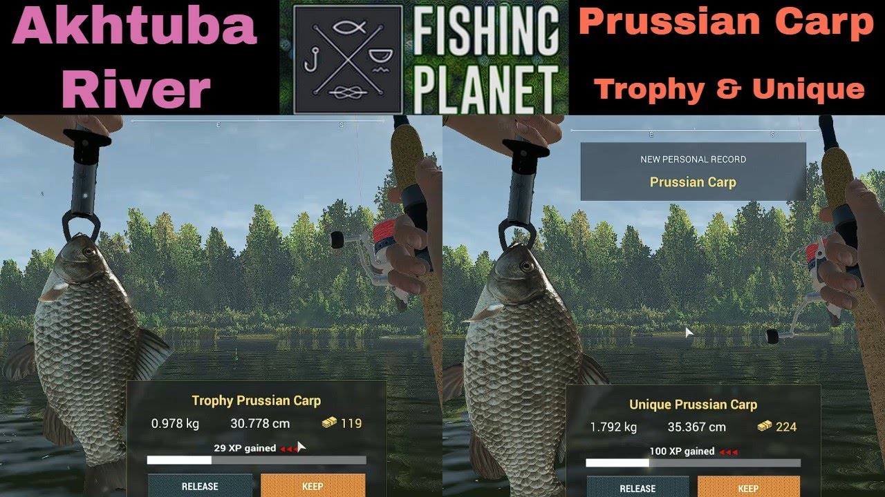 Fishing Akhtuba River, Prussian Carp, Trophy & Unique YouTube