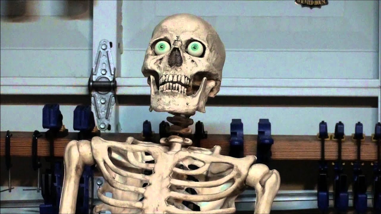Frightprops Talking Skull Close Up