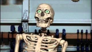 Frightprops Talking Skull Close Up