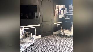 3446 E Knoll Street, Mesa, Az 85213