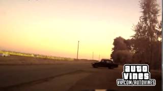 Auto Vines 139