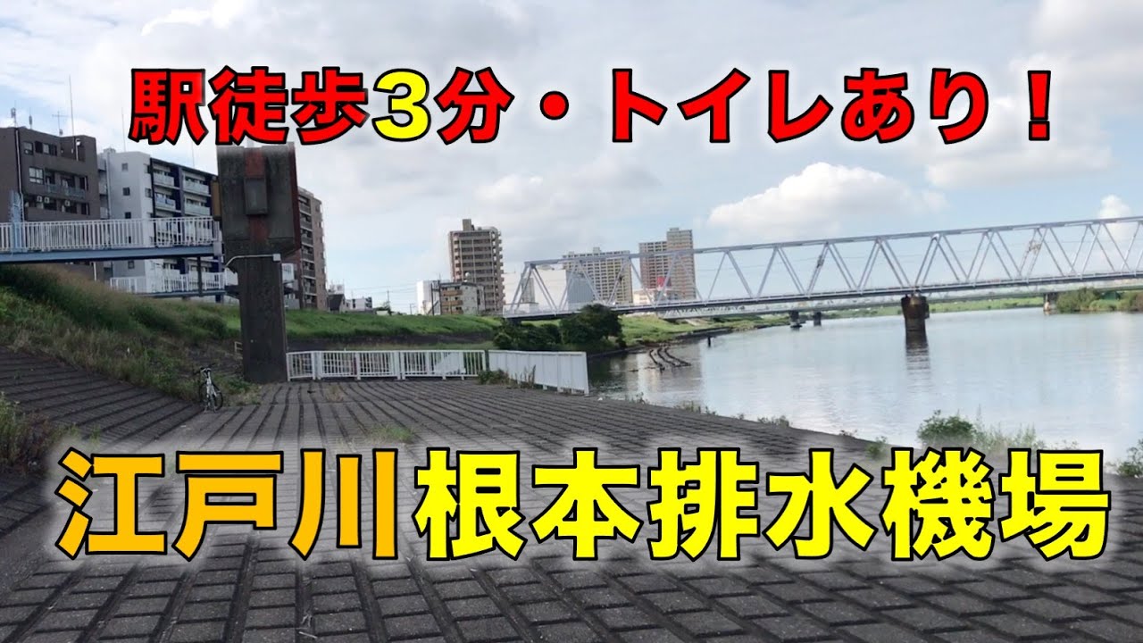 駅徒歩3分、トイレあり！江戸川・根本排水機場前の釣り場探検