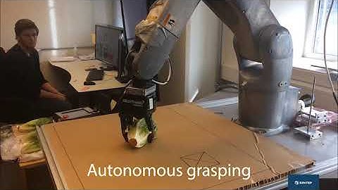 Robotic Handling of Food Compliant Objects by Robust Learning from Demonstration