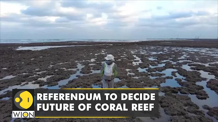 Taiwan to hold a referendum to decide whether to save Coral Reef or construct an LNG terminal | WION - DayDayNews