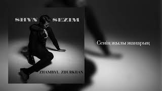 Video thumbnail of "Жамбыл Жұрхан - Шын сезім    Zhambyl Zhurkhan - Shyn Sezim (lyrics video)"