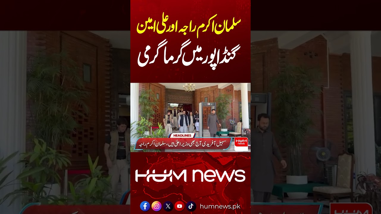 Ali Amin Gandapur vs Salman Akram Raja | PTI Leaders Clash | Hum News | Pakistan